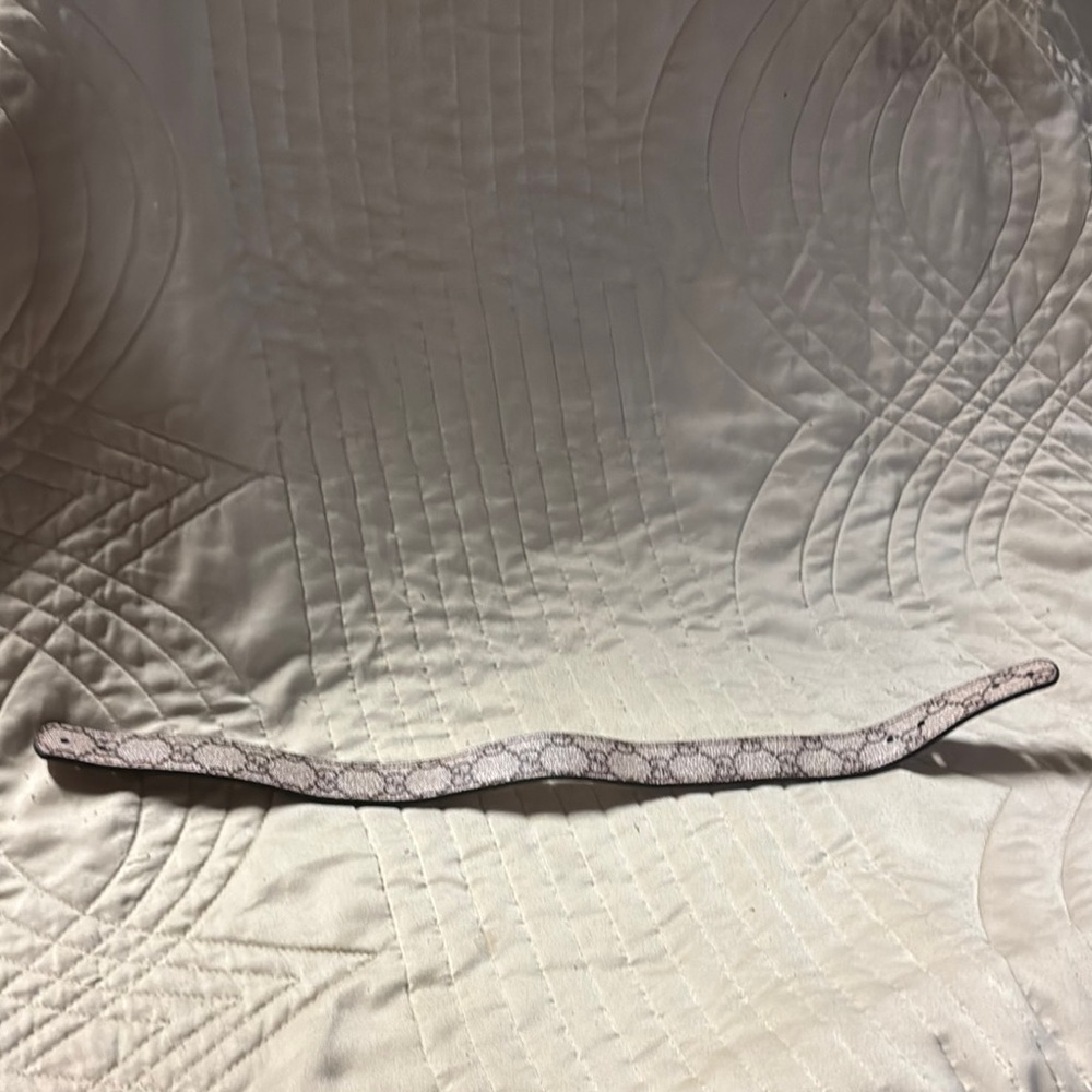 Gucci Stylish Snake Print Belt